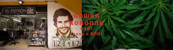 сатива Аркадак