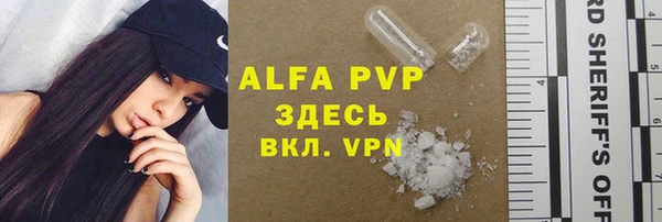сатива Аркадак