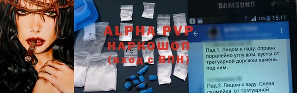 сатива Аркадак
