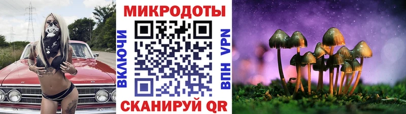 Псилоцибиновые грибы Cubensis  Орлов 
